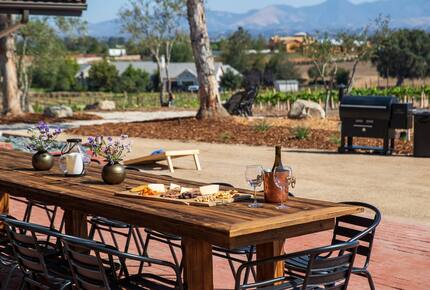 Deboem Vineyard | 20 Acre Organic Vineyard - Ballard, California