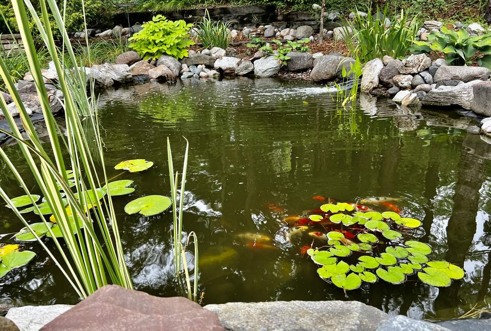 Secluded Forest Retreat Minutes From Minneapolis - Minnetonka, Minnesota