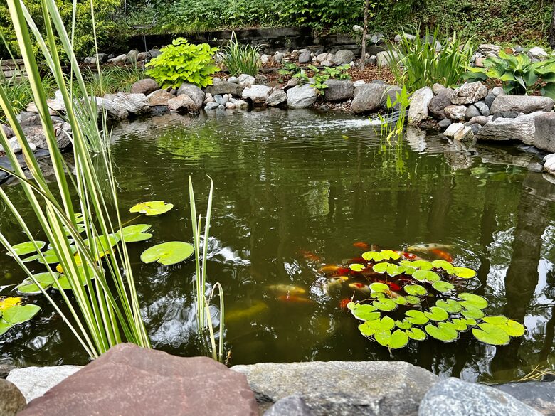 Secluded Forest Retreat Minutes From Minneapolis - Minnetonka, Minnesota