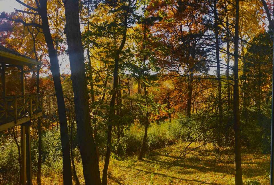 Secluded Forest Retreat Minutes From Minneapolis - Minnetonka, Minnesota