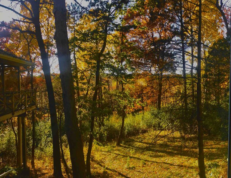 Secluded Forest Retreat Minutes From Minneapolis - Minnetonka, Minnesota