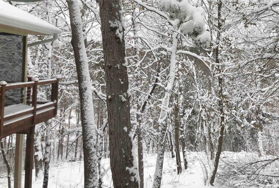 Secluded Forest Retreat Minutes From Minneapolis - Minnetonka, Minnesota