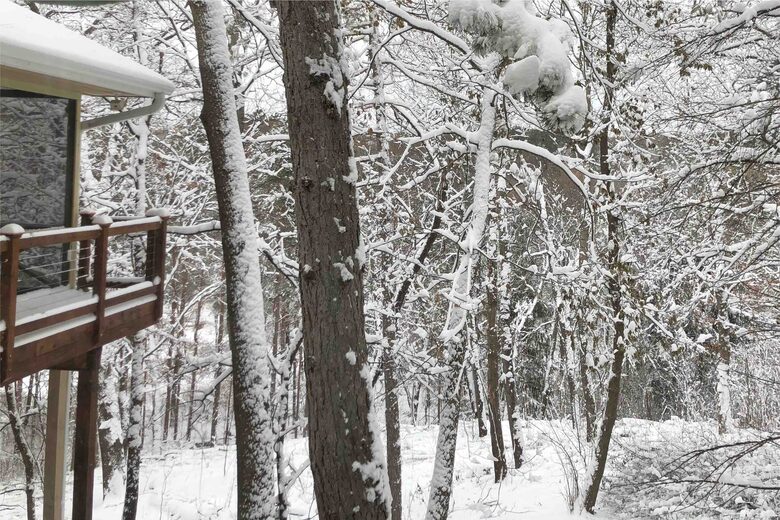 Secluded Forest Retreat Minutes From Minneapolis - Minnetonka, Minnesota