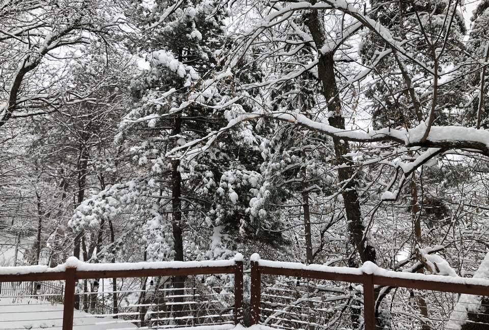 Secluded Forest Retreat Minutes From Minneapolis - Minnetonka, Minnesota