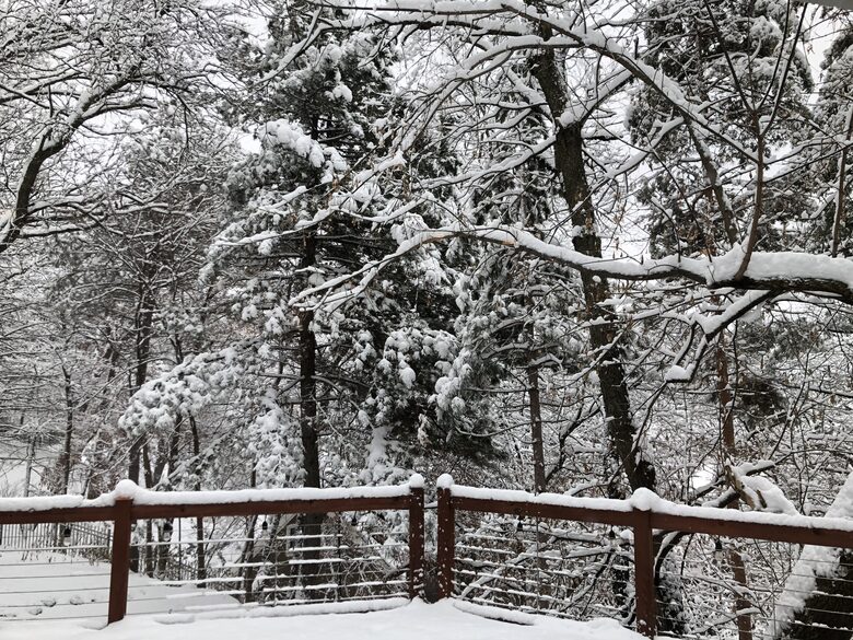 Secluded Forest Retreat Minutes From Minneapolis - Minnetonka, Minnesota