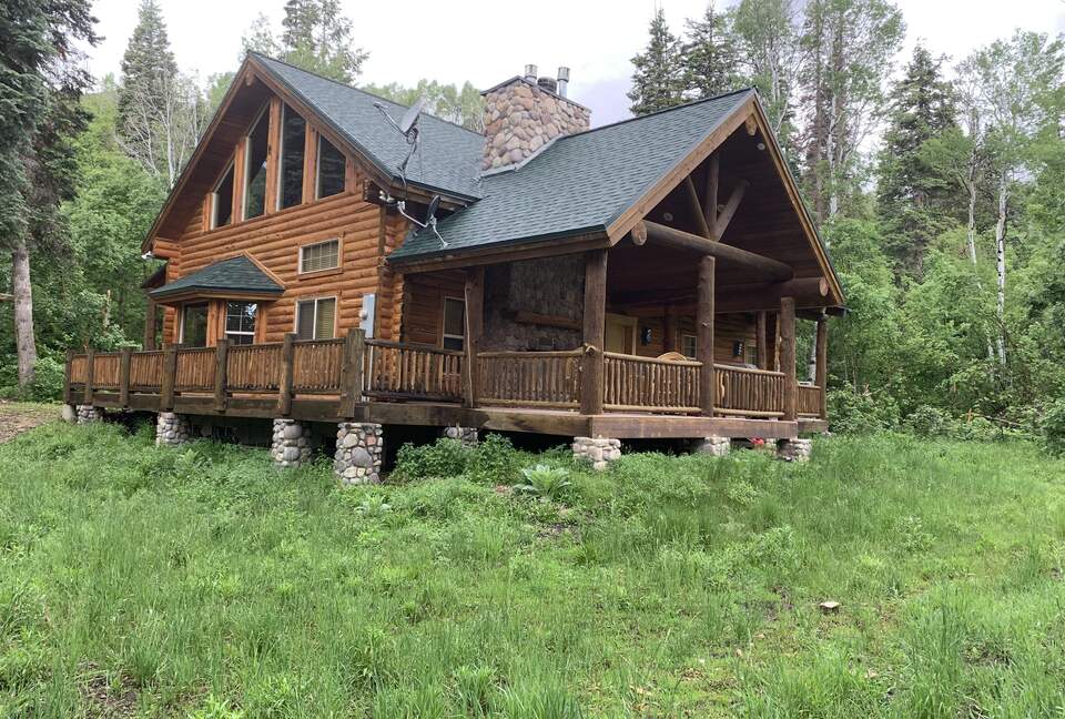 Back and side view in summer