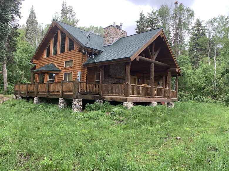 Back and side view in summer