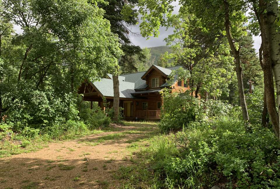 Springtime in snake creek canyon