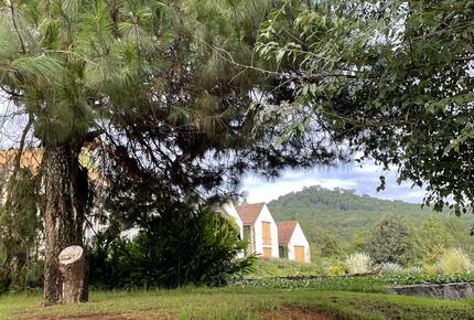 Incredible Countryside Ranch with Tennis + Natural Swimming Pool - Valle de Bravo, Mexico