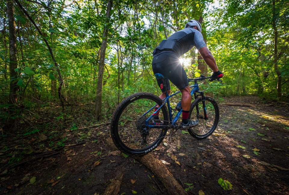Ocean View Condo in Reserva Conchal - The Gold Standard - Reserva Conchal, Costa Rica