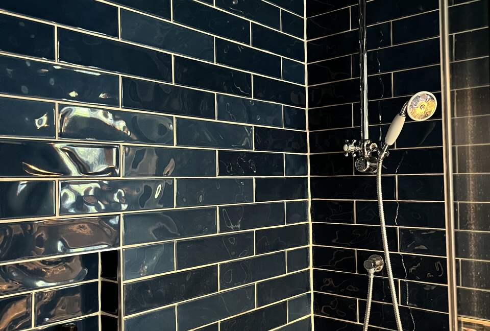 The Blue Room Shower Room
