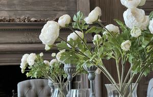 Château d'Isle-sur-Marne (R) - Isle sur Marne, France