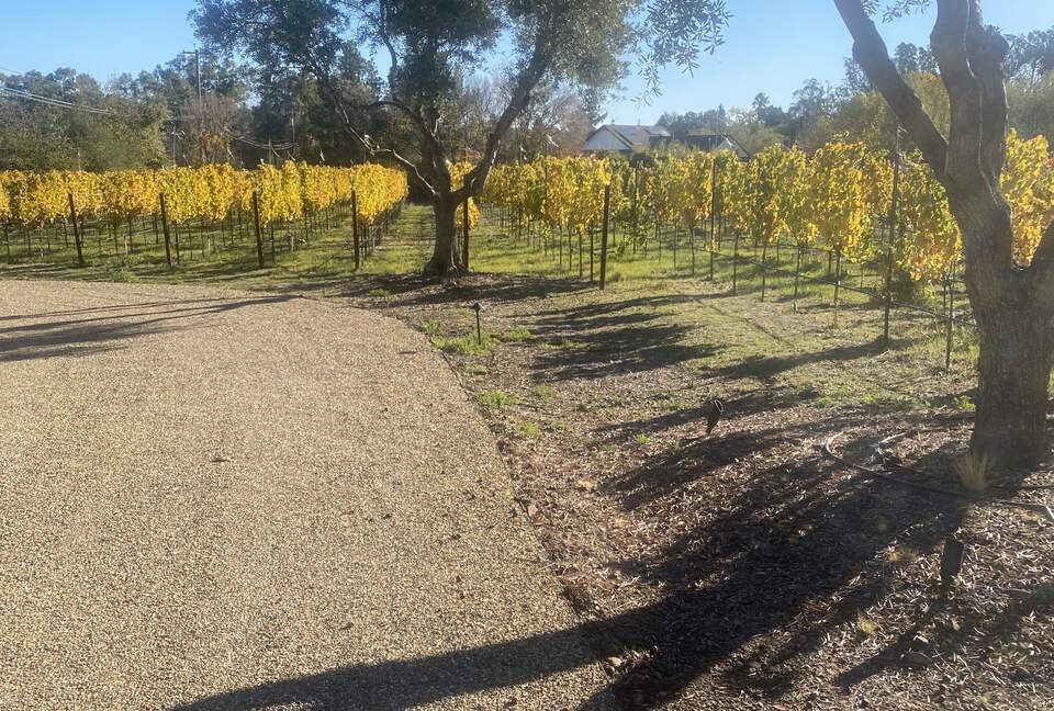 The Grove Estate Sonoma - Sonoma, California