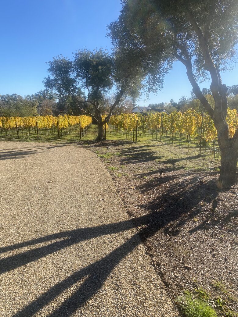 The Grove Estate Sonoma - Sonoma, California