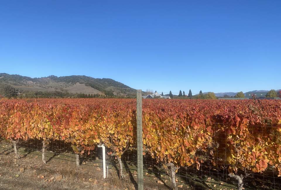 The Grove Estate Sonoma - Sonoma, California