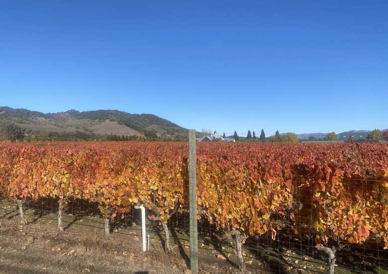 The Grove Estate Sonoma - Sonoma, California