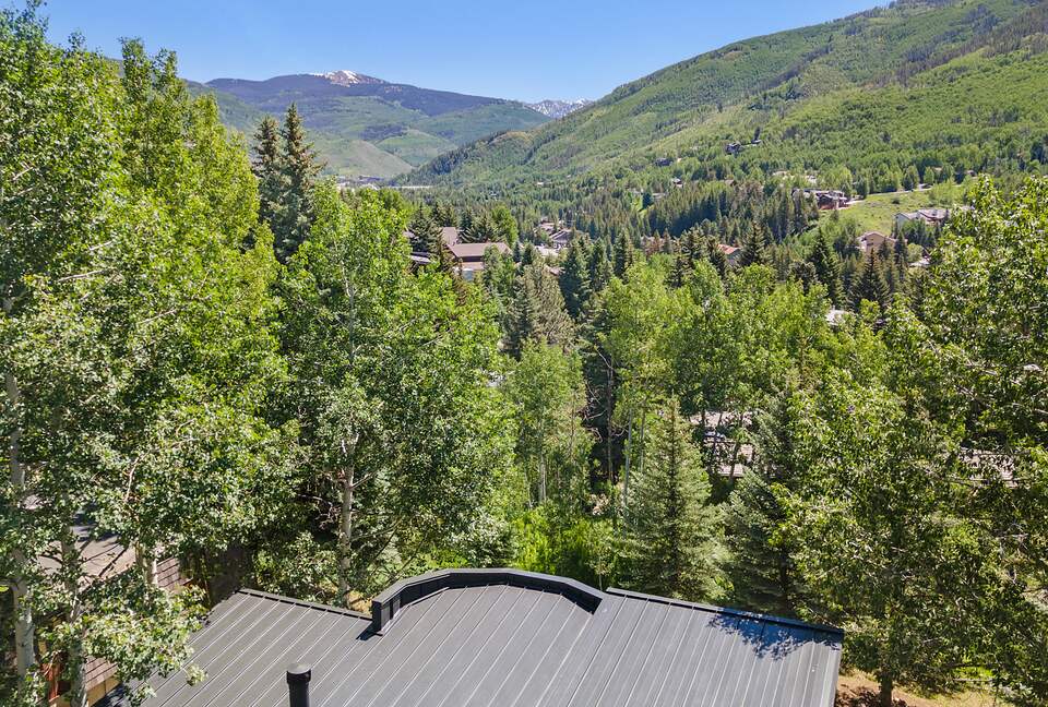 Beautifully Remodeled Mid-Century Modern Vail Home - Vail, Colorado