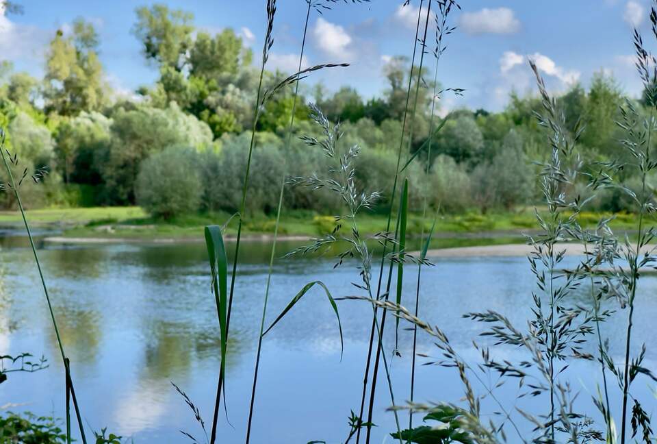 Château d'Isle-sur-Marne (R) - Isle sur Marne, France