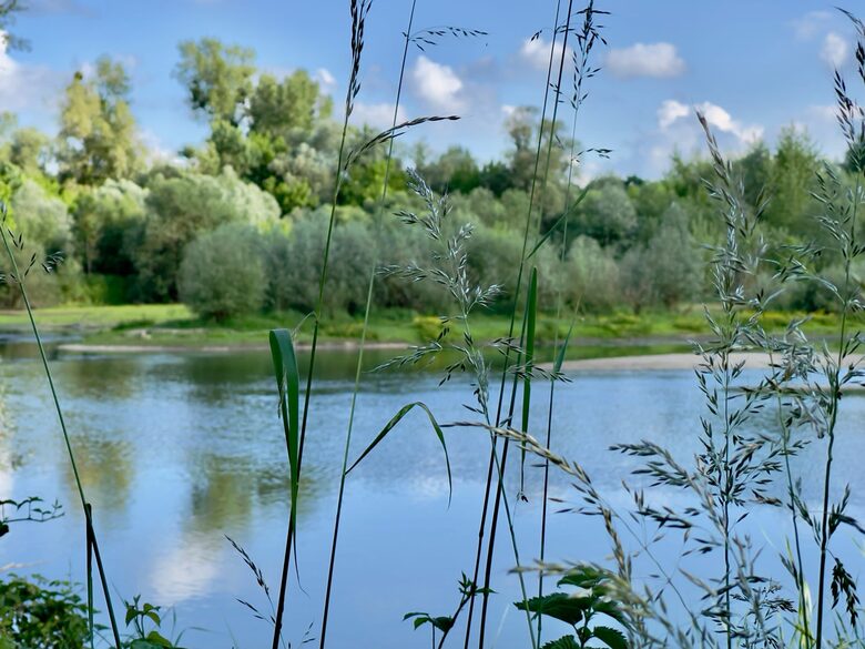Château d'Isle-sur-Marne (R) - Isle sur Marne, France