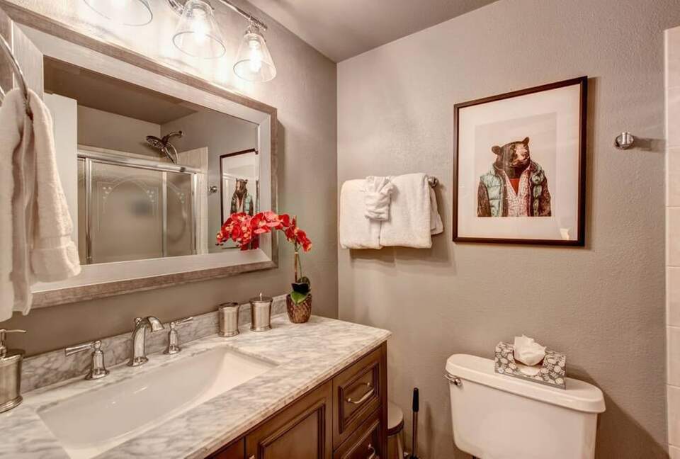 Luxury Ski In/Creekside Condo In Heart of Breck - Breckenridge, Colorado