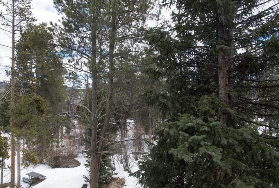 Luxury Ski In/Creekside Condo In Heart of Breck - Breckenridge, Colorado