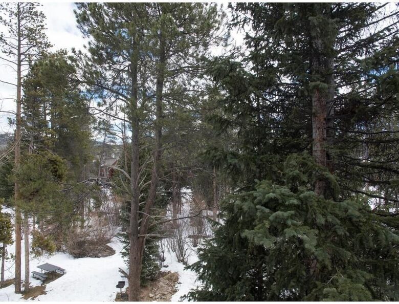 Luxury Ski In/Creekside Condo In Heart of Breck - Breckenridge, Colorado