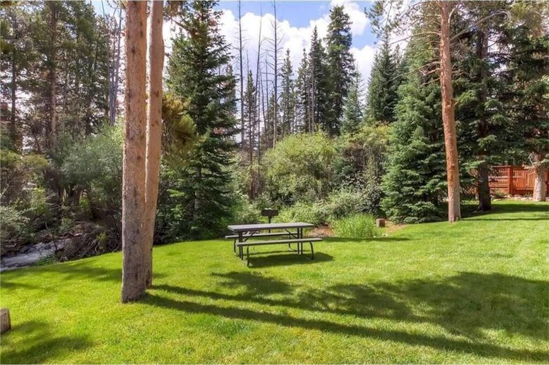 Luxury Ski In/Creekside Condo In Heart of Breck - Breckenridge, Colorado