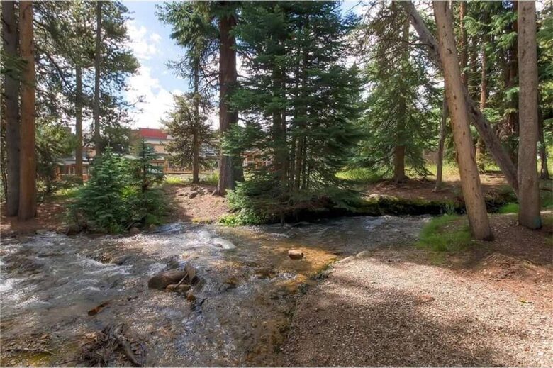 Luxury Ski In/Creekside Condo In Heart of Breck - Breckenridge, Colorado