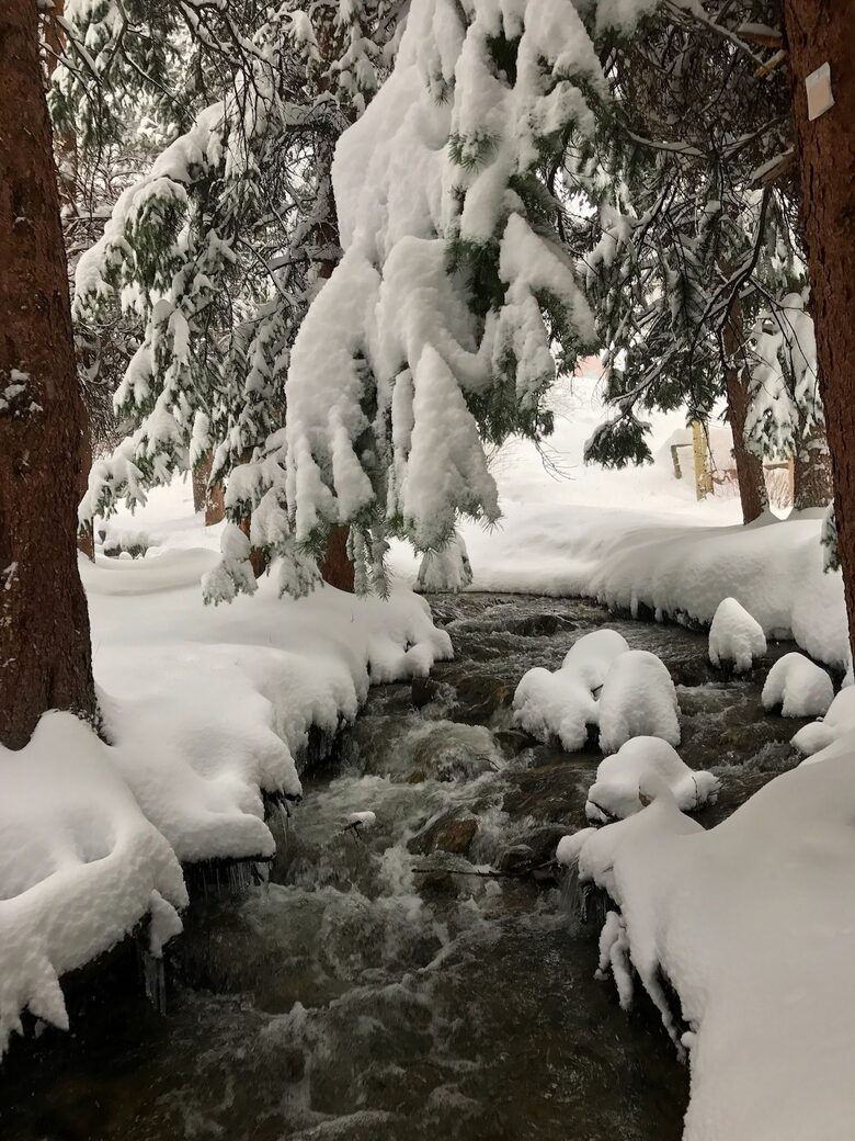 Luxury Ski In/Creekside Condo In Heart of Breck - Breckenridge, Colorado