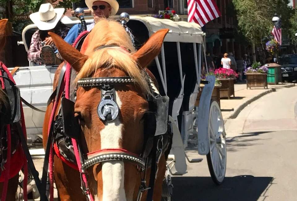 Luxury Ski In/Creekside Condo In Heart of Breck - Breckenridge, Colorado