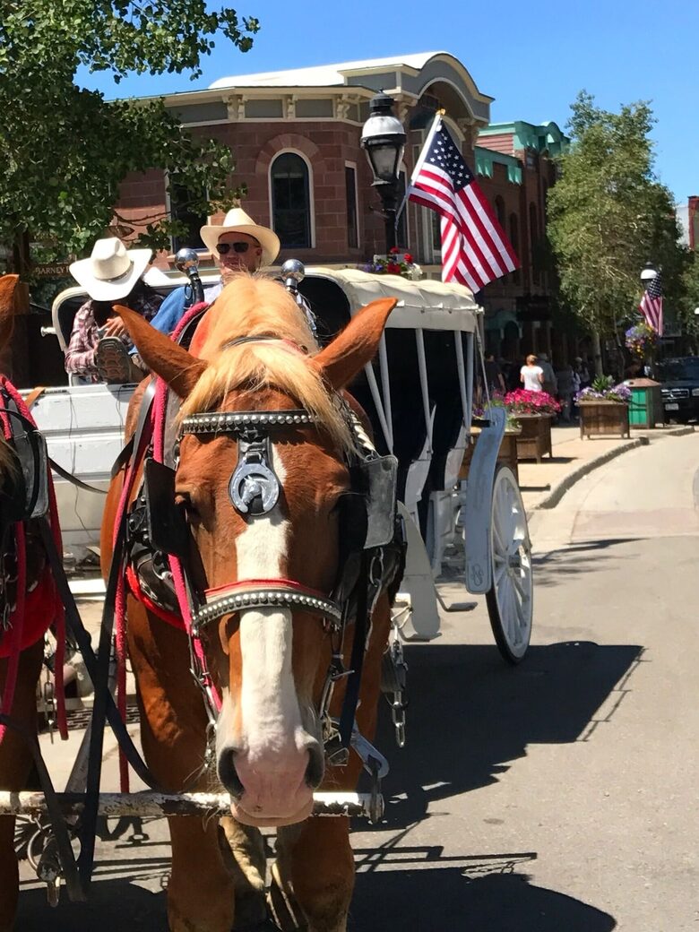 Luxury Ski In/Creekside Condo In Heart of Breck - Breckenridge, Colorado