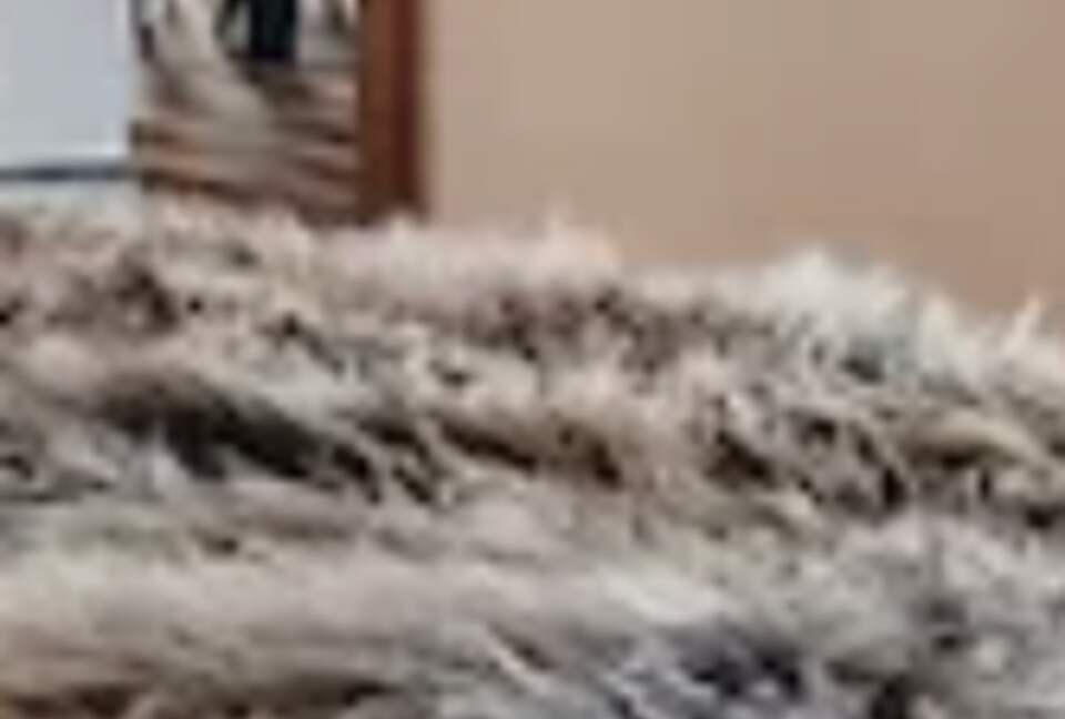 Ullr Haus with Sauna + Private Hot Tub + Views - Breckenridge, Colorado