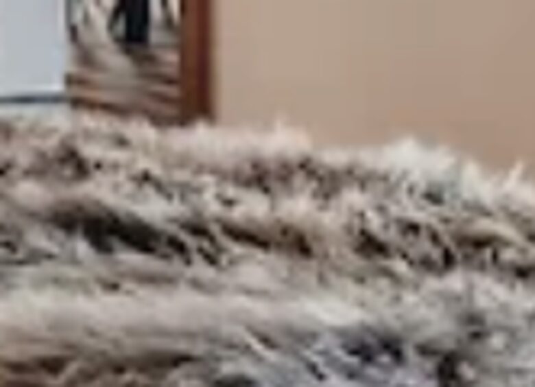 Ullr Haus with Sauna + Private Hot Tub + Views - Breckenridge, Colorado