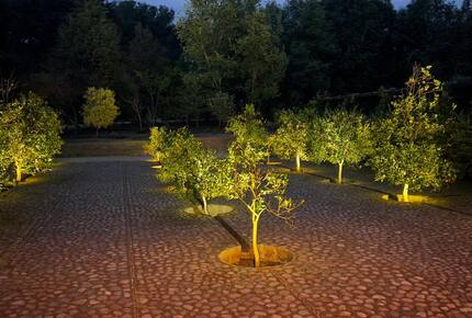 Orchid, orangerie at night . Beautiful outside illumination