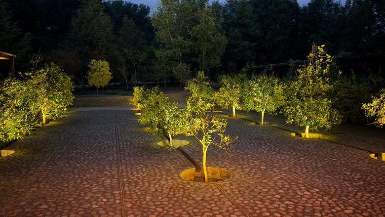 Orchid, orangerie at night . Beautiful outside illumination