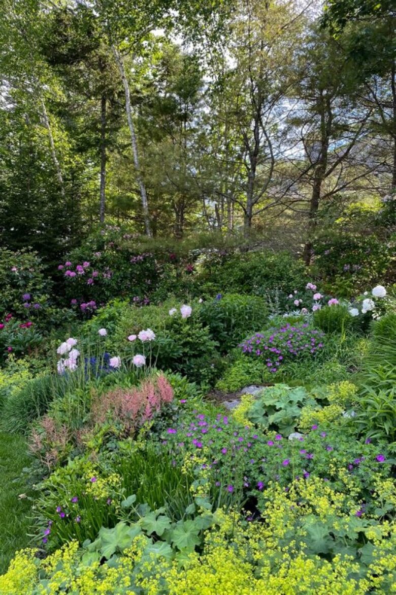 Boothbay Harbor - Spruce Point Stunner | Waterfront With Deep Water Dock Access - Boothbay Harbor, Maine