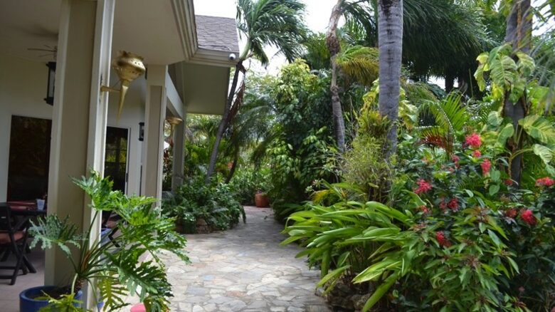 Aruba Villa Tropical - Noord, Aruba