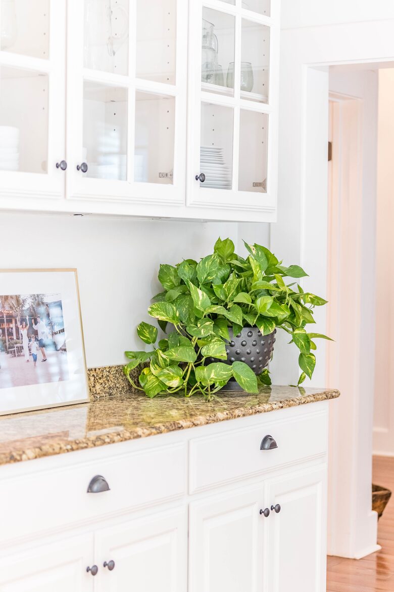 Mustard Seed with Private Dock - Austin, Texas