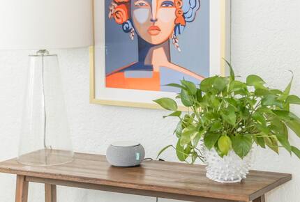 Mustard Seed with Private Dock - Austin, Texas