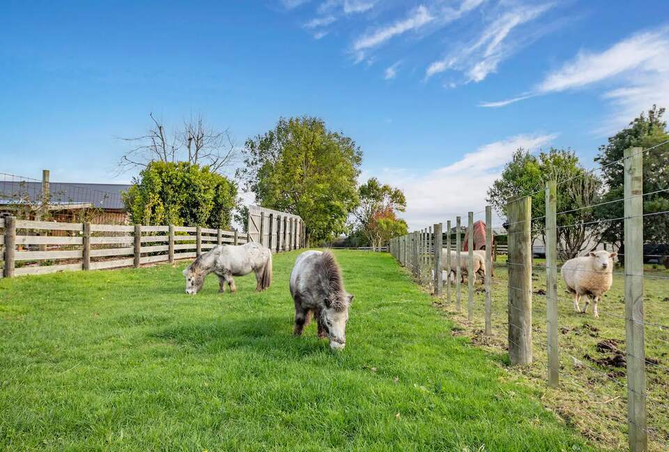 Rose Cottage - Karaka, New Zealand