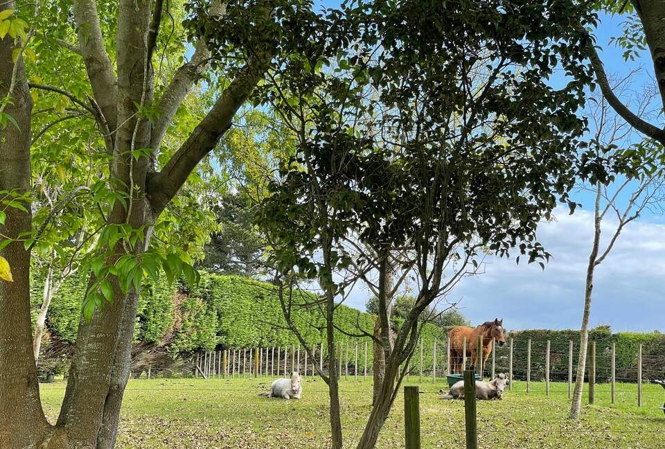 Rose Cottage - Karaka, New Zealand