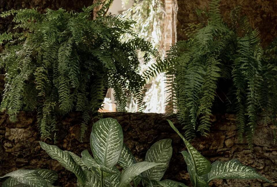 Hacienda Acamilpa - Acamilpa, Mexico