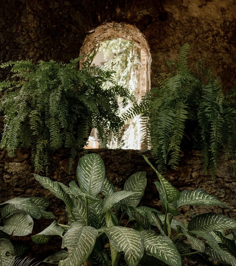 Hacienda Acamilpa - Acamilpa, Mexico