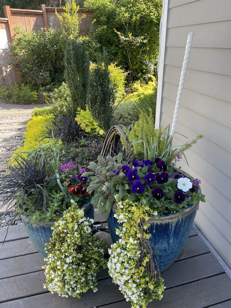 Waterfront retreat on Vashon; with a beach and hot tub! - Vashon, Washington