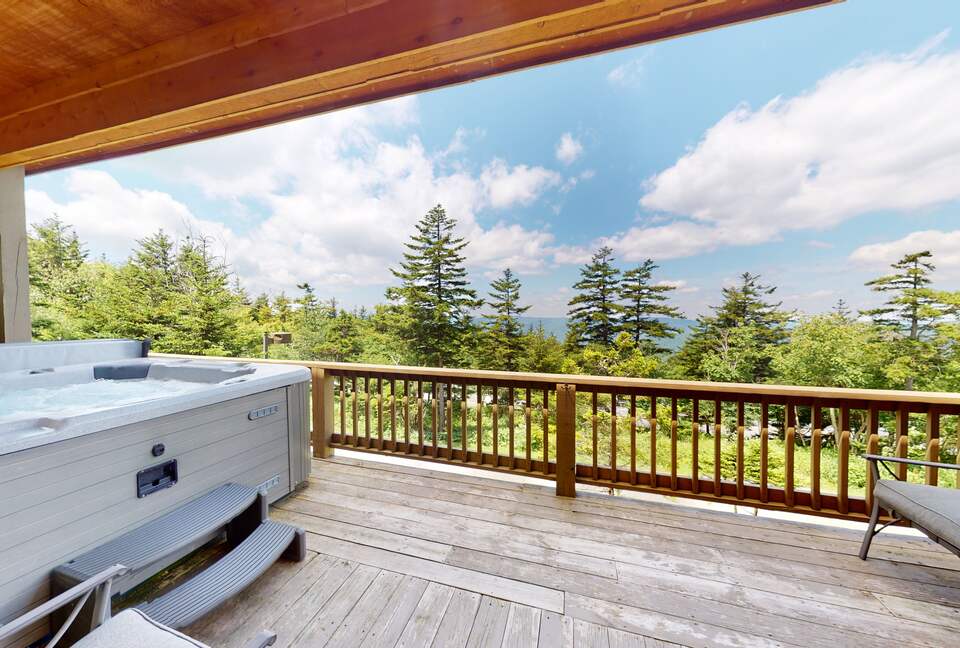 Snowshoe Black Bear Crossing #8 - Snowshoe, West Virginia