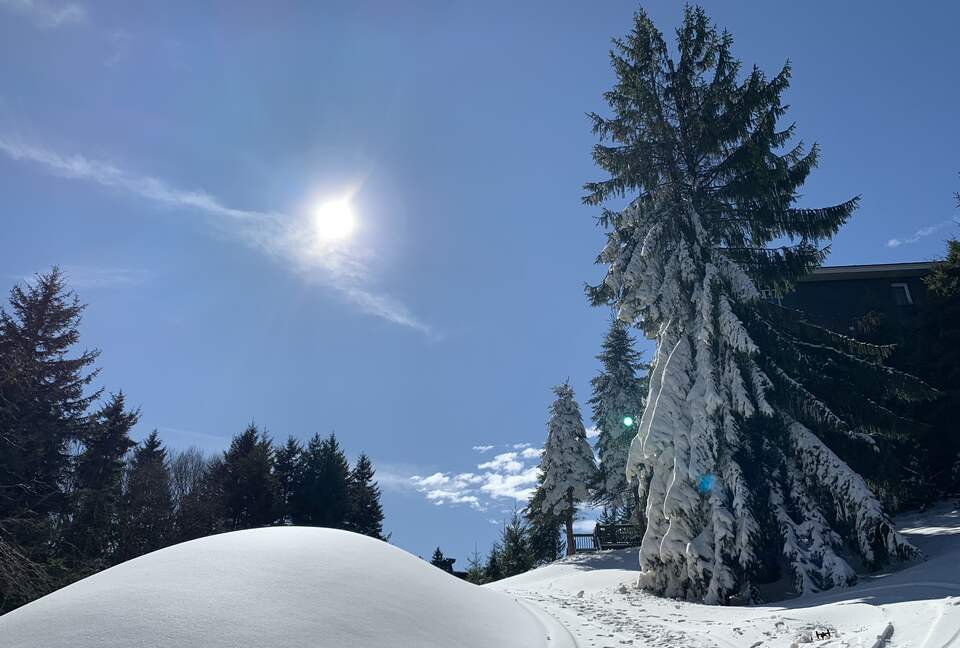 Black Bear Crossing #21 | Slopeside with Great Ski Trail Views - Snowshoe, West Virginia