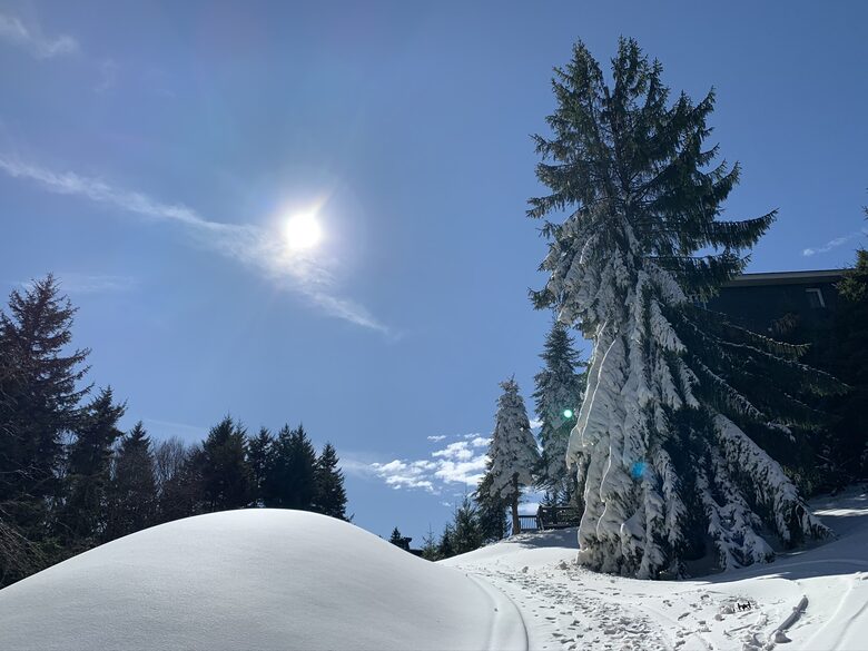 Black Bear Crossing #21 | Slopeside with Great Ski Trail Views - Snowshoe, West Virginia