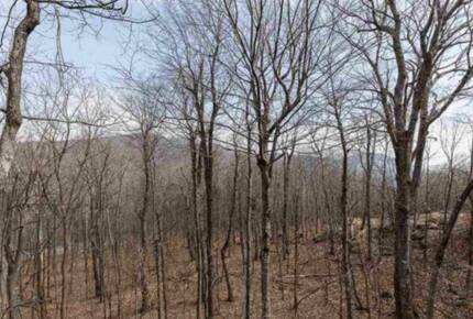 Wintergreen Retreat: Steps to Great Hiking on the Appalachain Trail - Wintergreen Resort, Virginia