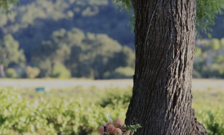 Classic Americana Farmhouse - Paso Robles, California