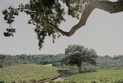 Classic Americana Farmhouse - Paso Robles, California